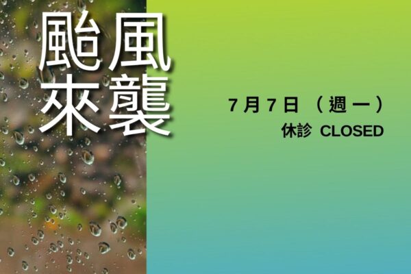 文章型